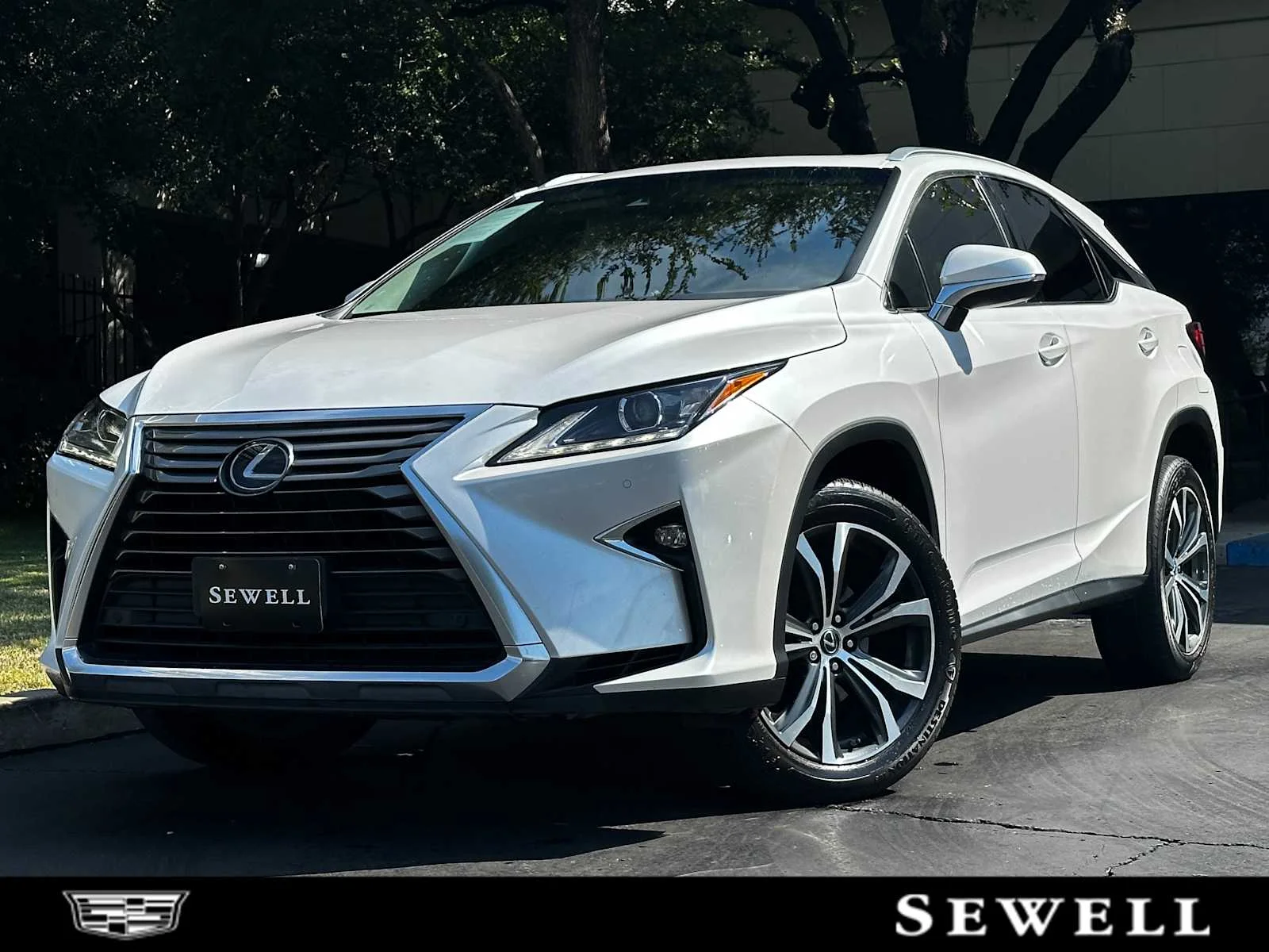 2019 Lexus RX