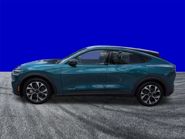 New 2026 Adriatic Blue Metallic Ford Select image 7