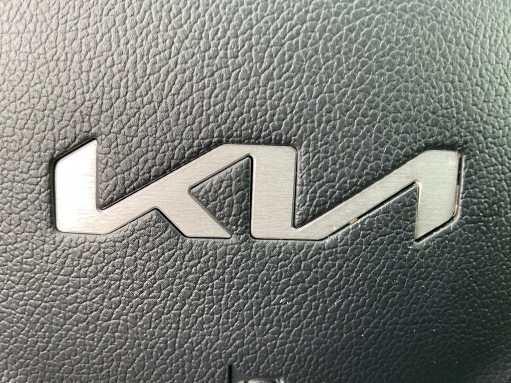 Used 2025 Panthera Metal Kia LX image 32