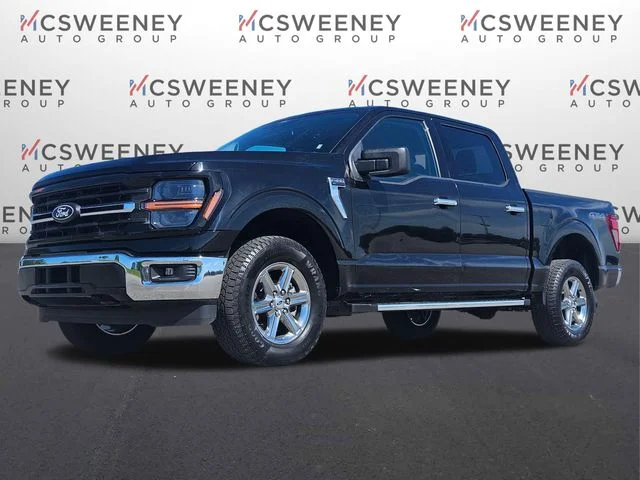 Used 2025 Black Ford XLT image 1