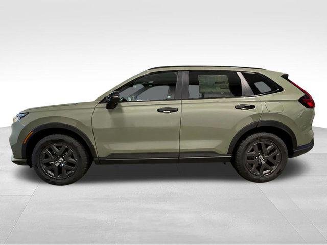 New 2026 Ash Green Metallic Honda TrailSport image 2