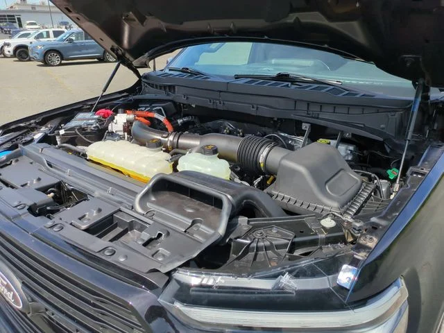Used 2025 Blue Ford Platinum image 36