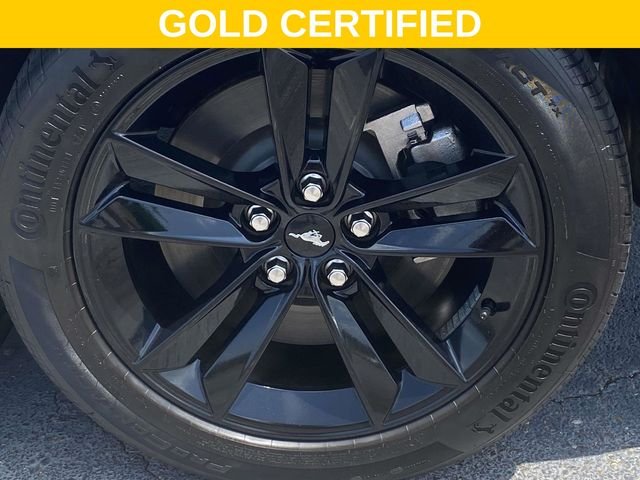 Used 2025 Gray Ford GT image 8