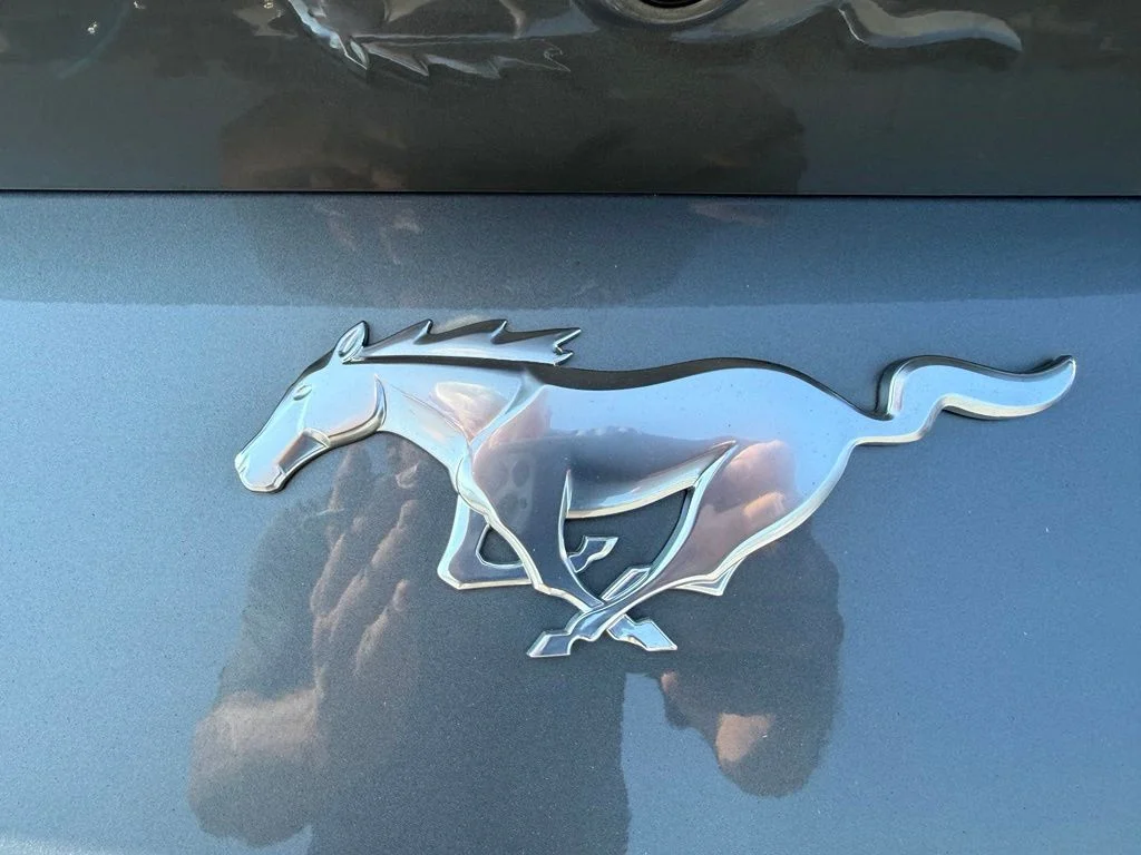 Used 2025 Gray Ford EcoBoost image 27