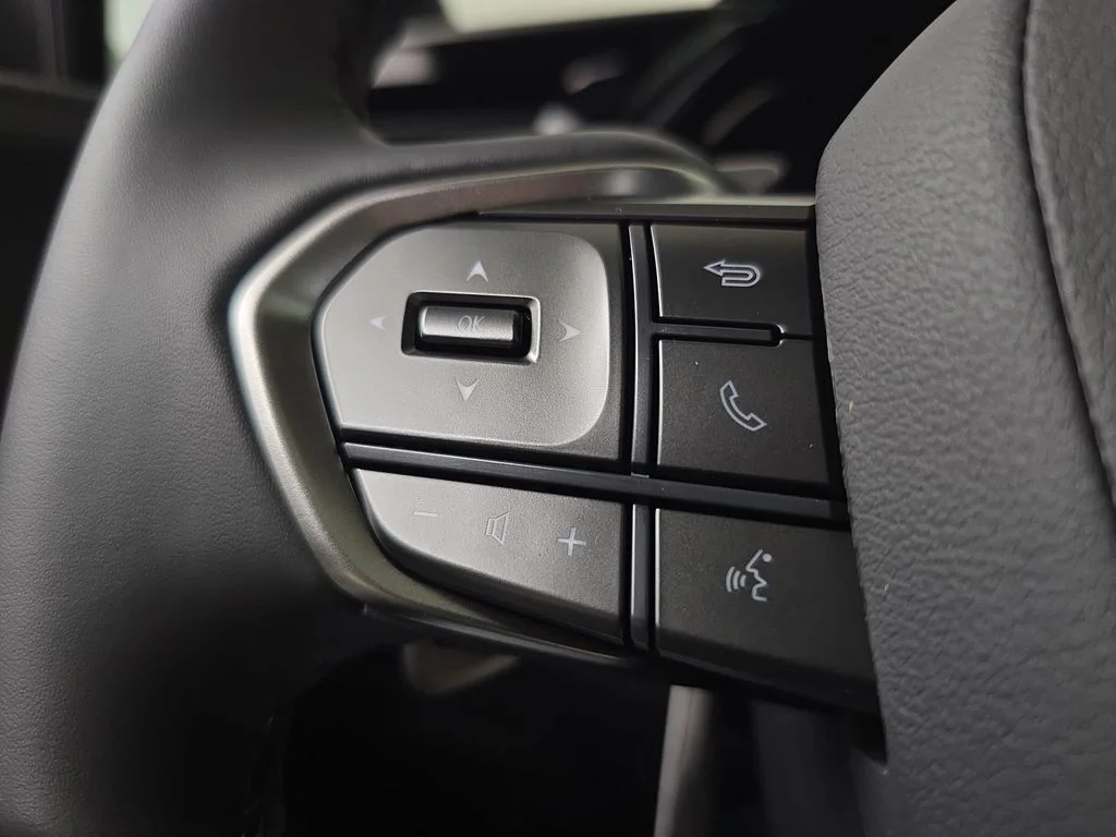 New 2026 Iridium Lexus PREMIUM image 16