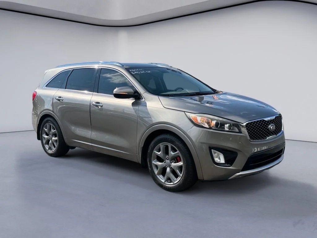 Used 2016 Titanium Silver Kia SX image 7