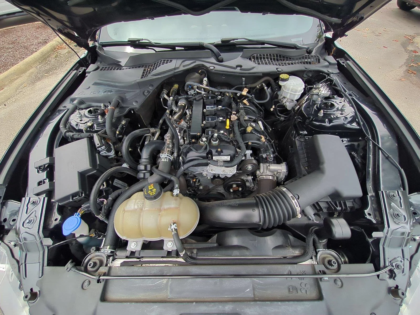 Used 2022 Shadow Black Ford EcoBoost image 33
