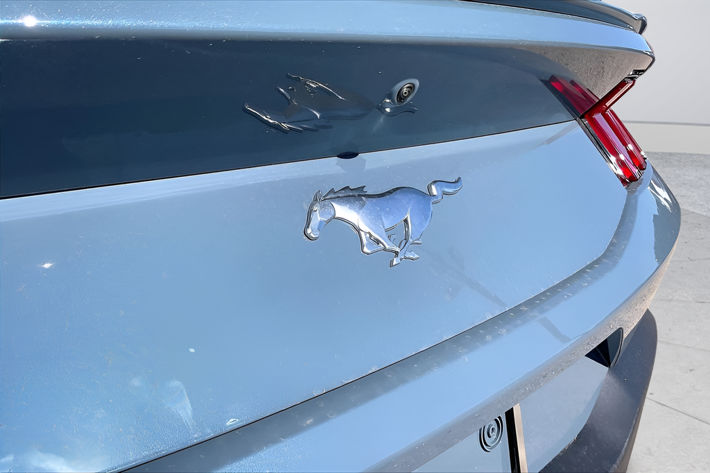 New 2026 Vapor Blue Metallic Ford EcoBoost Premium image 15
