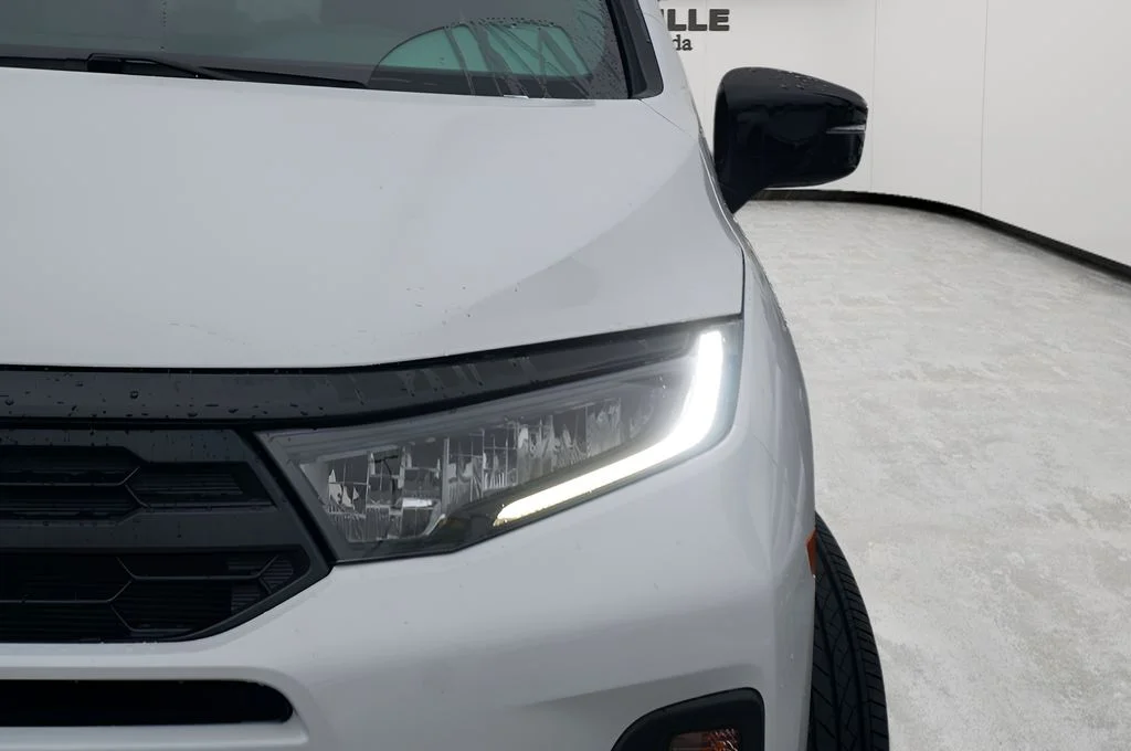 New 2026 Platinum White Pearl Honda Sport-L image 4