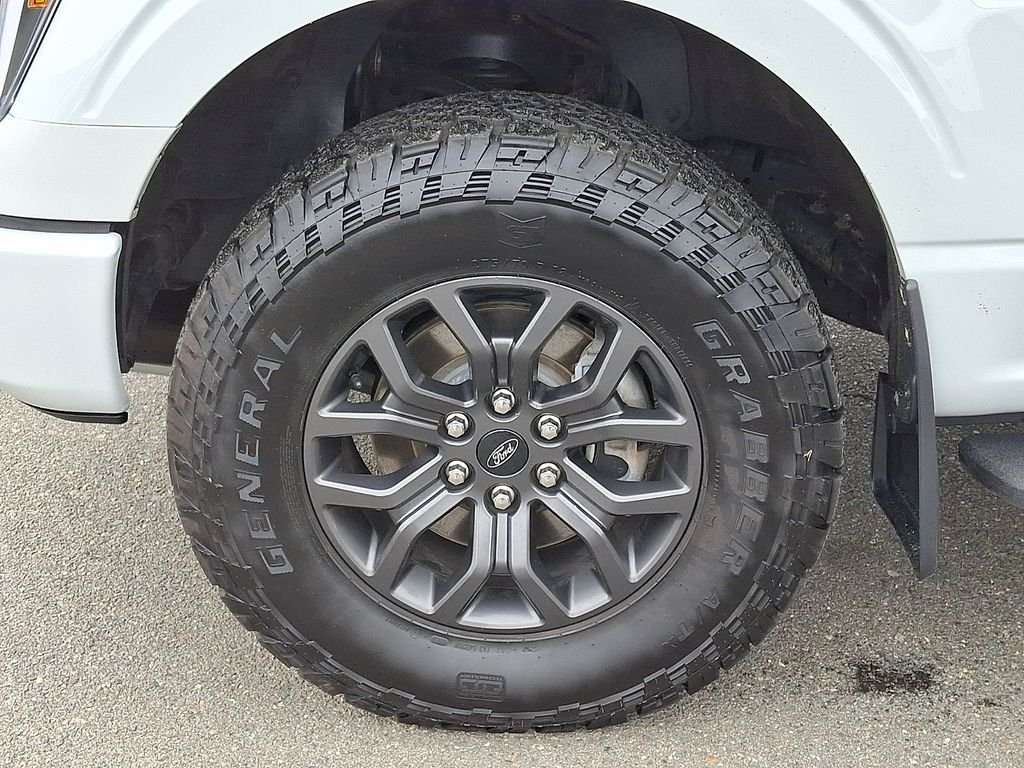 2023 Ford F-150 Tremor - Photo 9