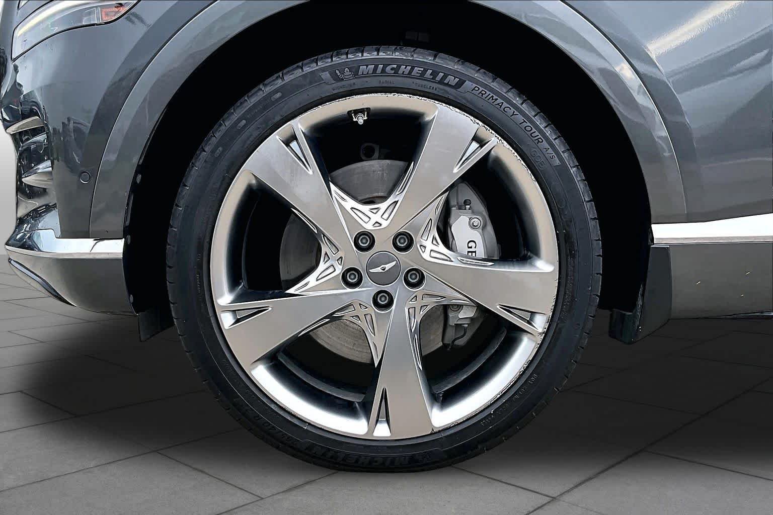 Used 2023 Himalayan Gray Genesis  image 11