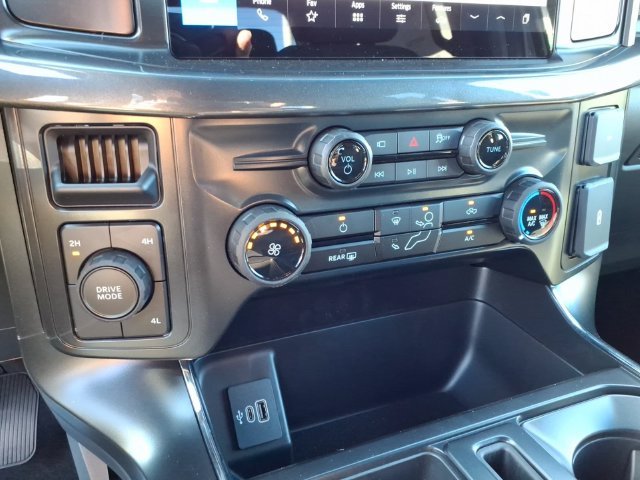 New 2026 Gray Ford STX image 12