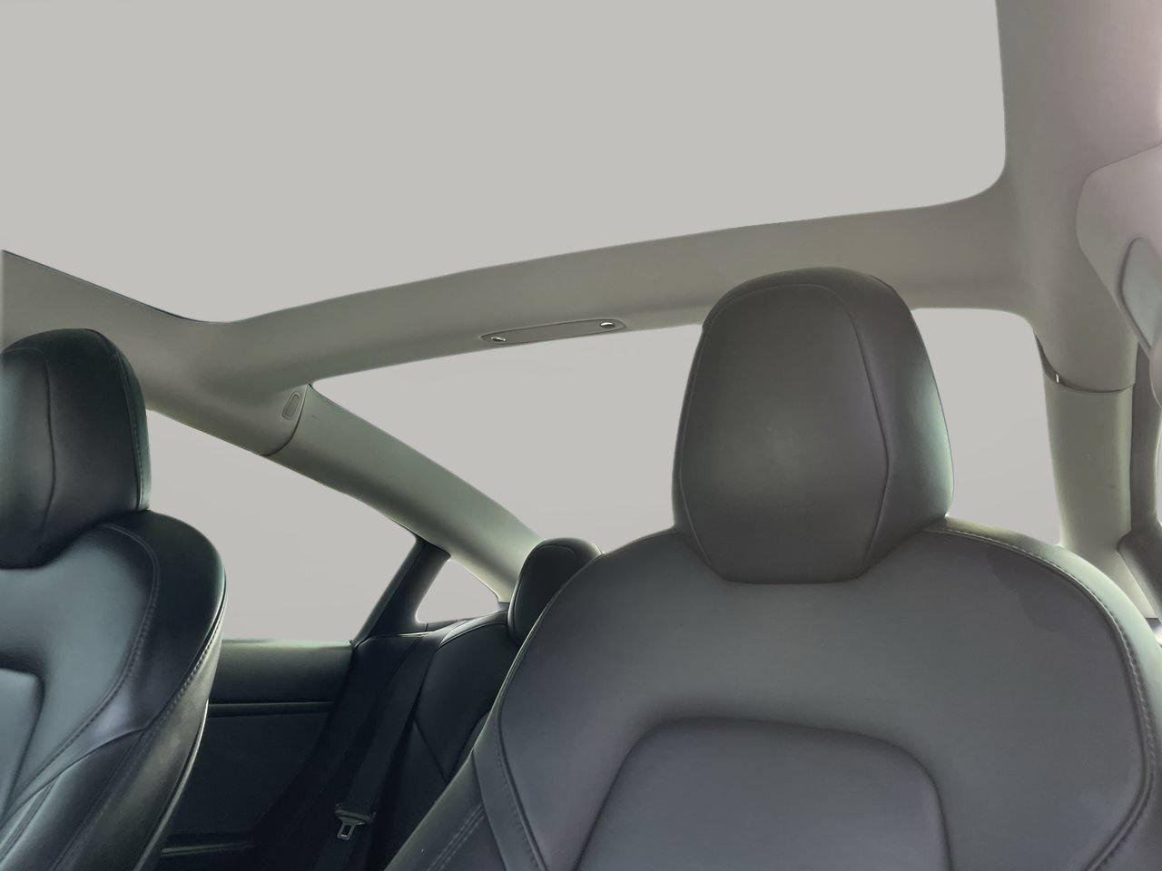 Used 2019 Pearl White Multi-Coat Tesla Standard image 18