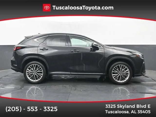 2026 Lexus NX 350h 350h Luxury AWD's photo