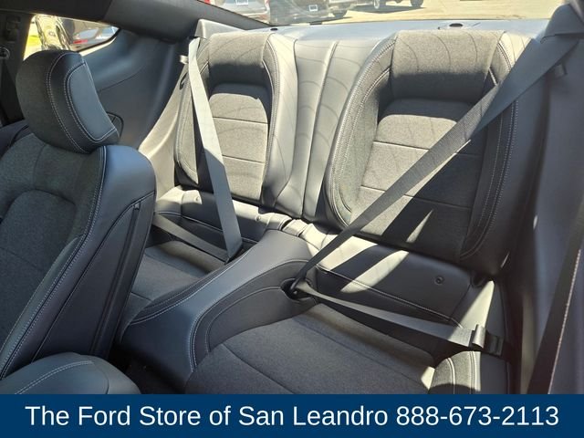 2025 Ford Mustang EcoBoost Fastback - Photo 12