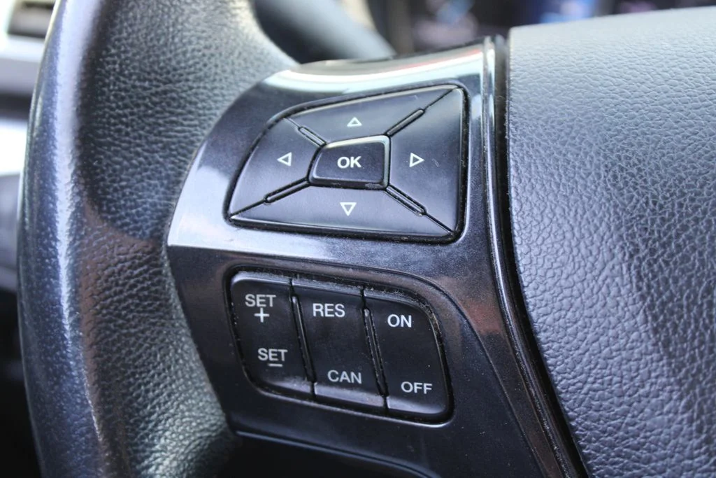 Used 2019 Blue Metallic Ford Sport image 16