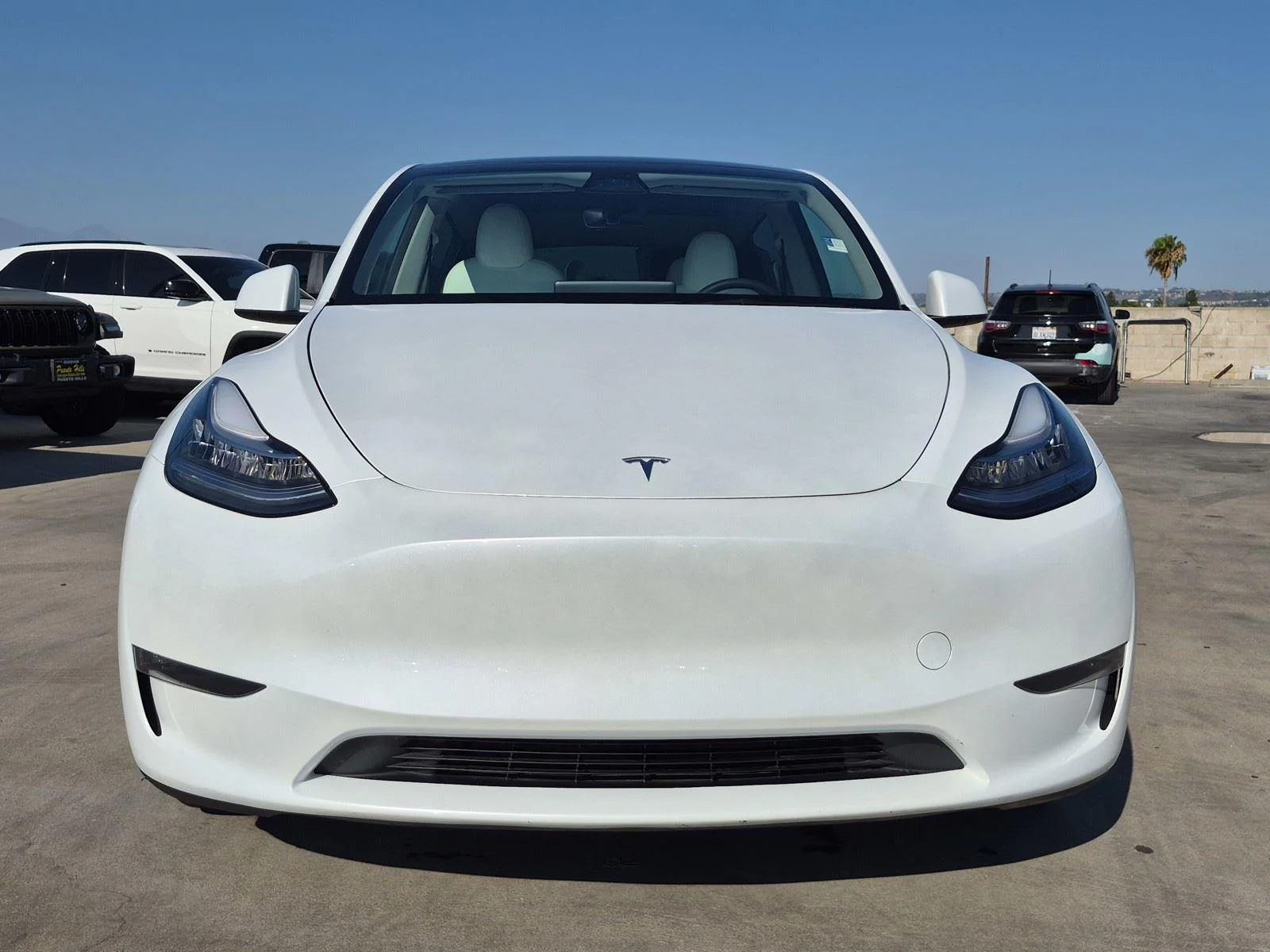 Used 2023  TESLA  image 2