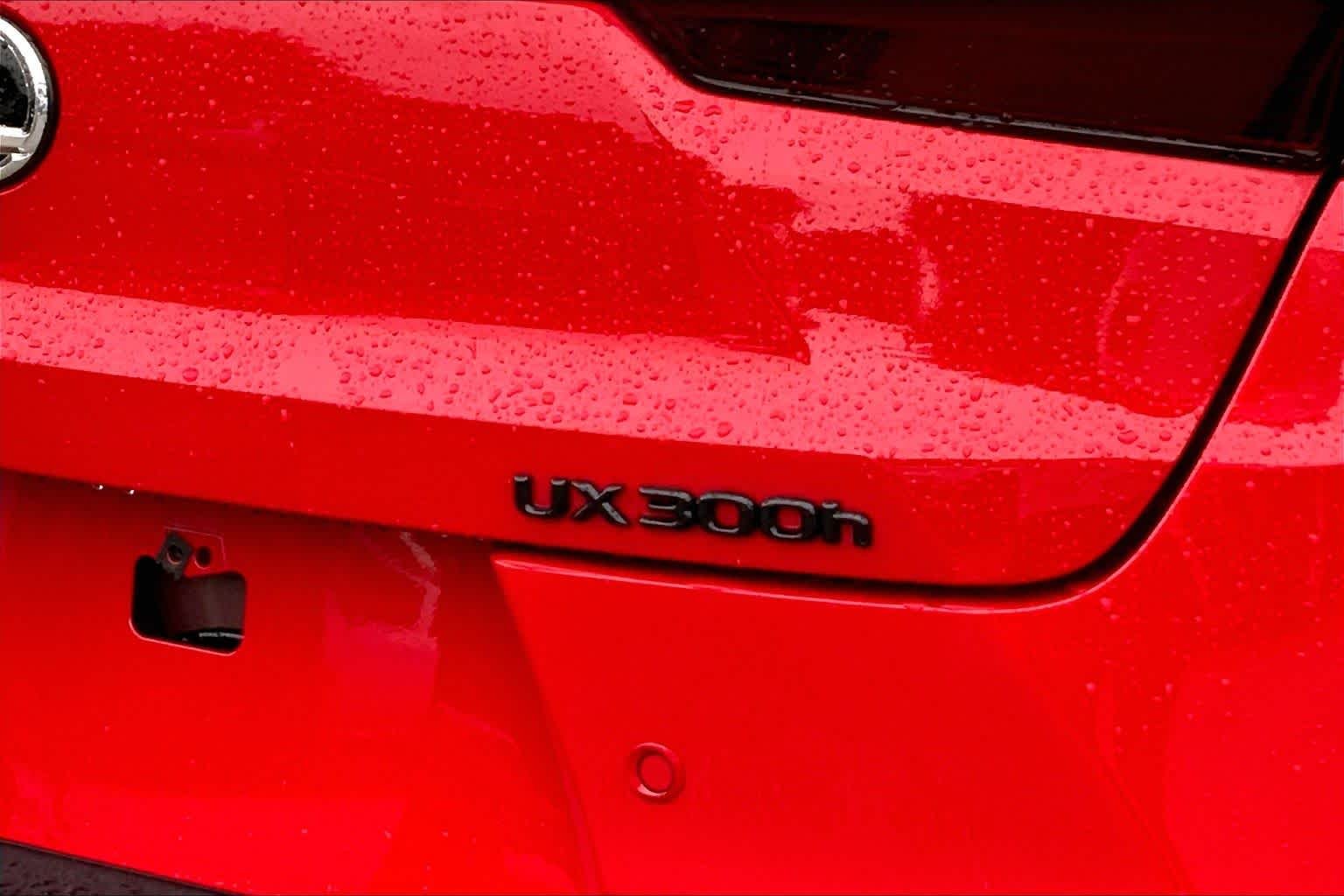 Certified Used 2025 Redline with Obsidian Roof Lexus F SPORT Design image 28