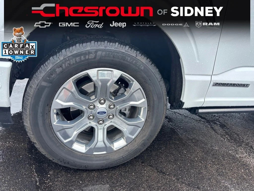 Used 2021 White Ford Platinum image 9