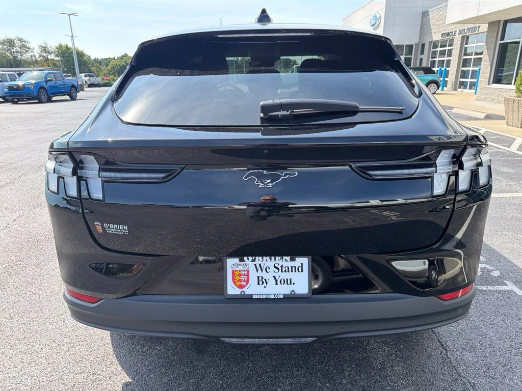 New 2026 Shadow Black Ford Premium image 4