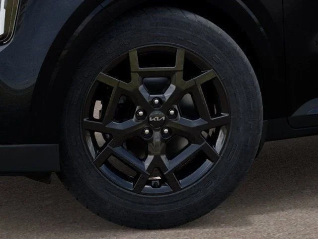 New 2027 Panthera Metal Kia EX image 9