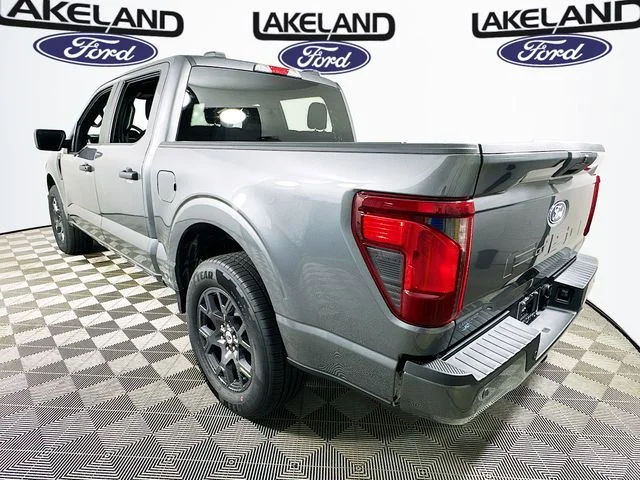 New 2026 Gray Ford STX image 6