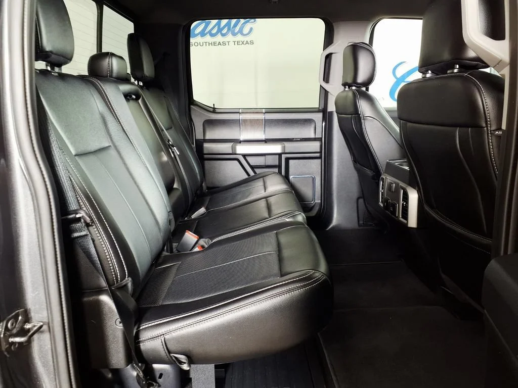 Used 2020 Magnetic Metall Ford XL image 10