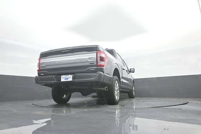 Used 2023 Gray Ford Platinum image 40