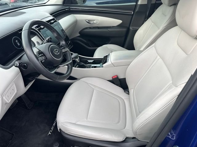 Used 2023 Blue Hyundai SEL image 6