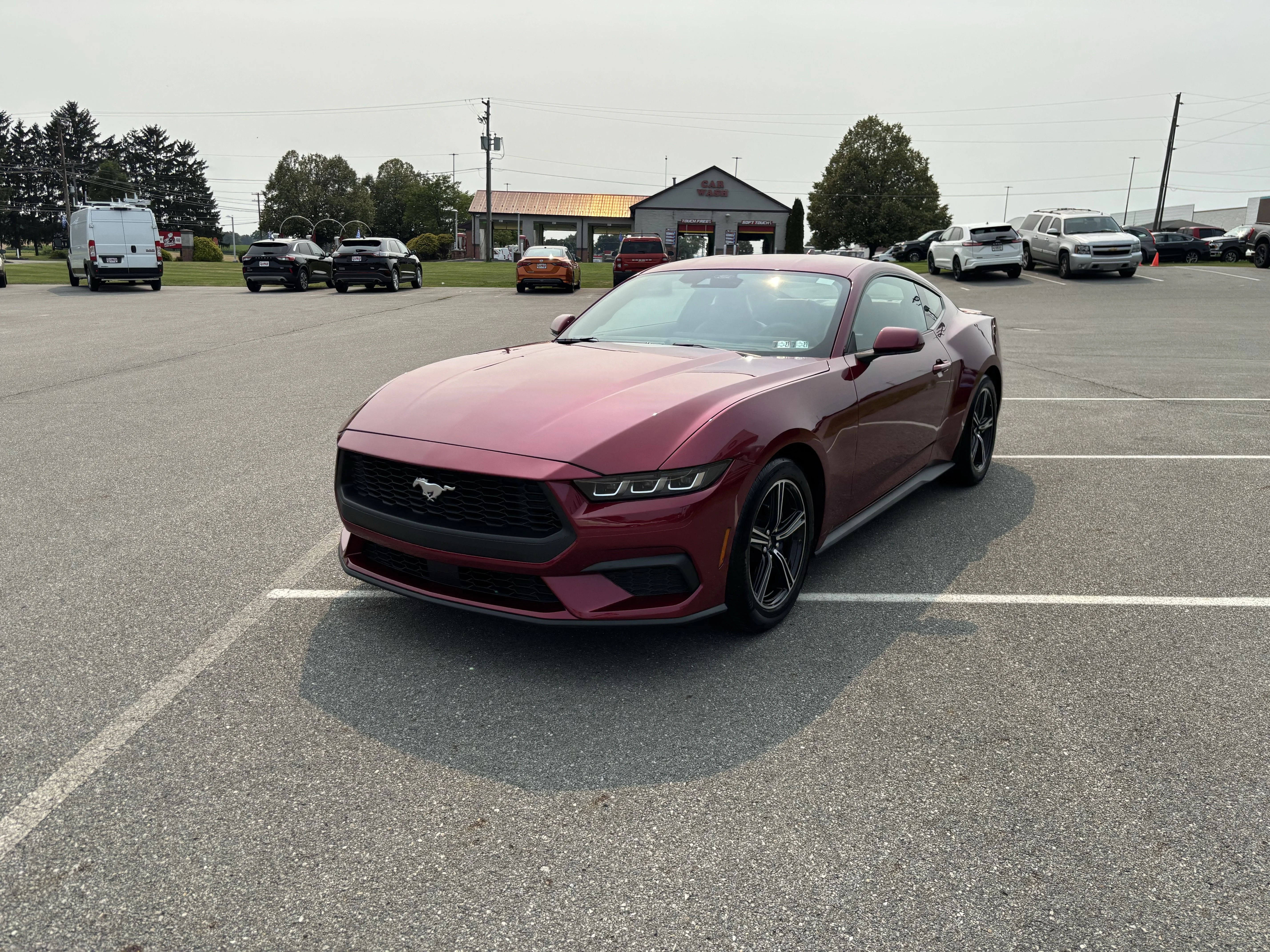 Used 2025 Magenta Ford EcoBoost Premium image 3