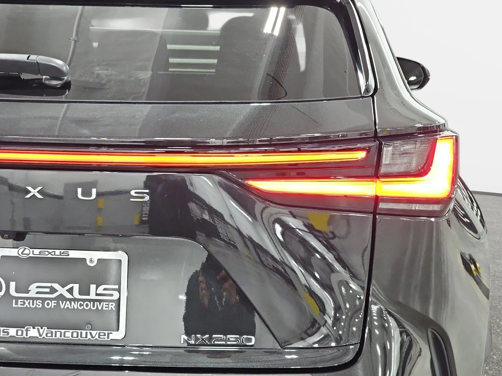 Used 2025 Black Lexus 250 Premium image 35