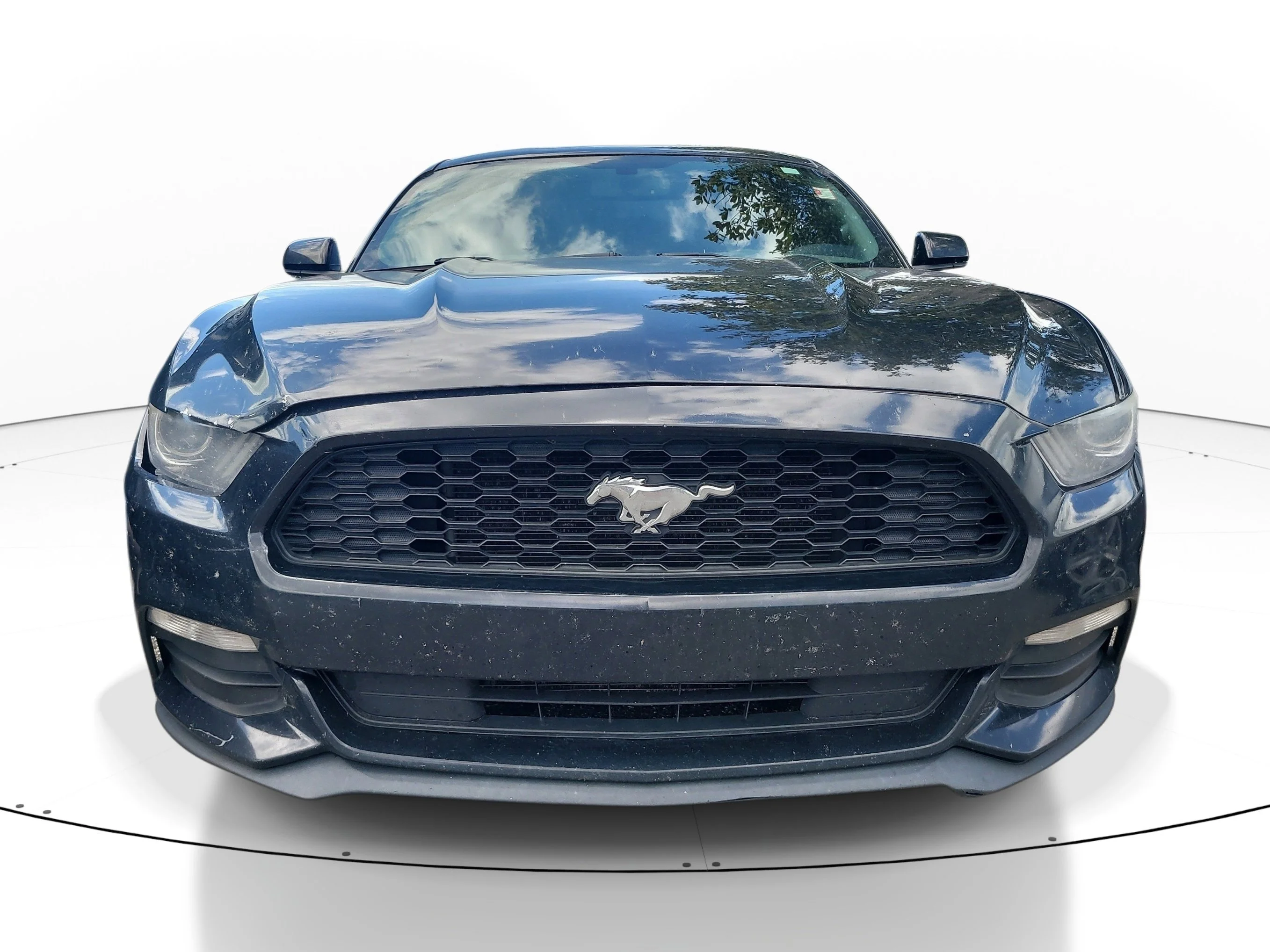 Used 2017 Shadow Black Ford V6 image 2
