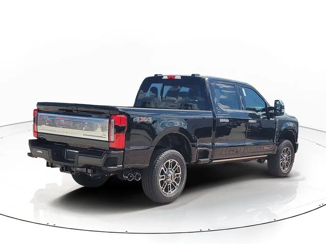 New 2026 Black Metallic Ford Platinum image 5
