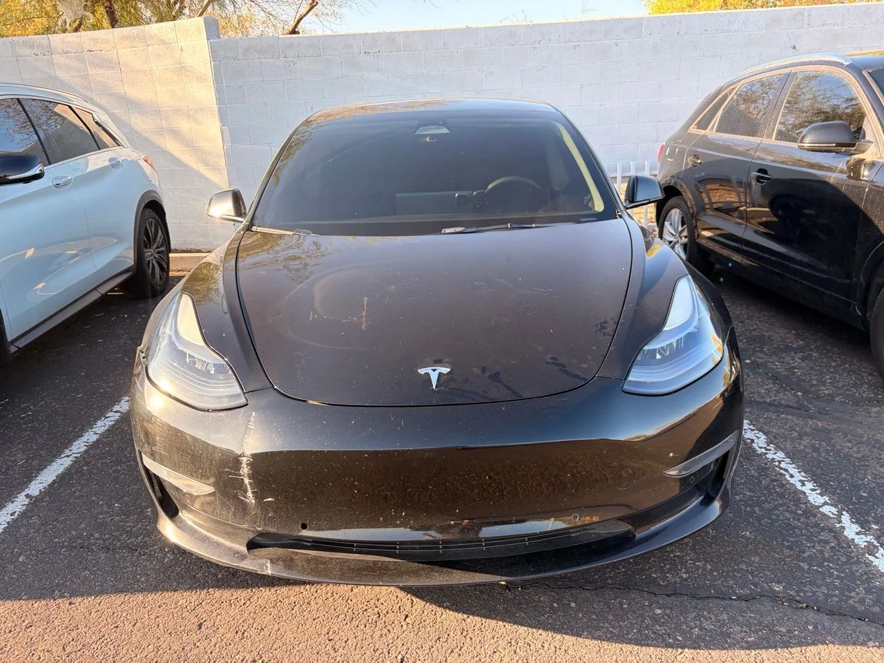 Used 2022 Solid Black Tesla Base image 3