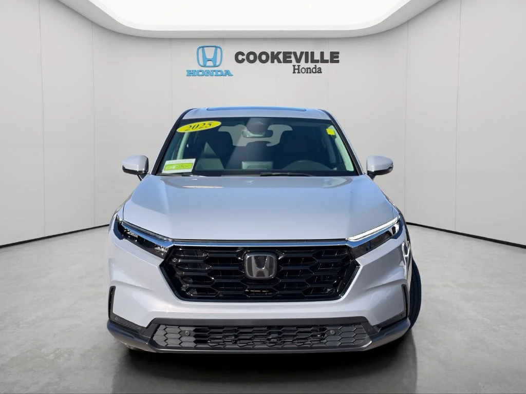 Used 2025 Urban Gray Pearl Honda EX-L image 4