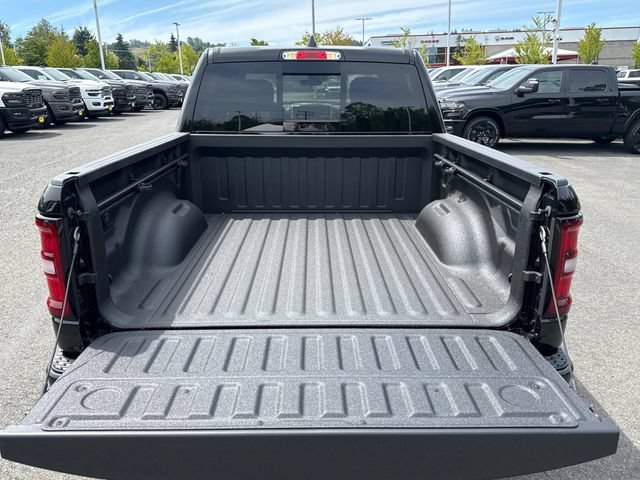 New 2026 Diamond Black Crystal Pearl-Coat Exterior Paint RAM Express image 7