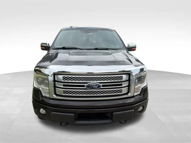 Used 2013 Brown Ford Platinum image 9