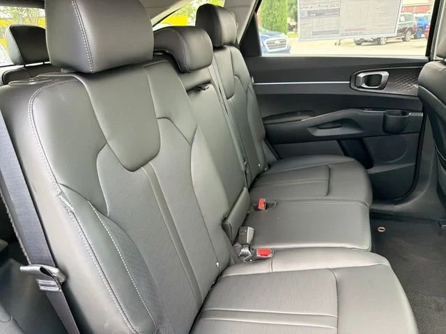 New 2026 Panthera Metal Kia S image 22