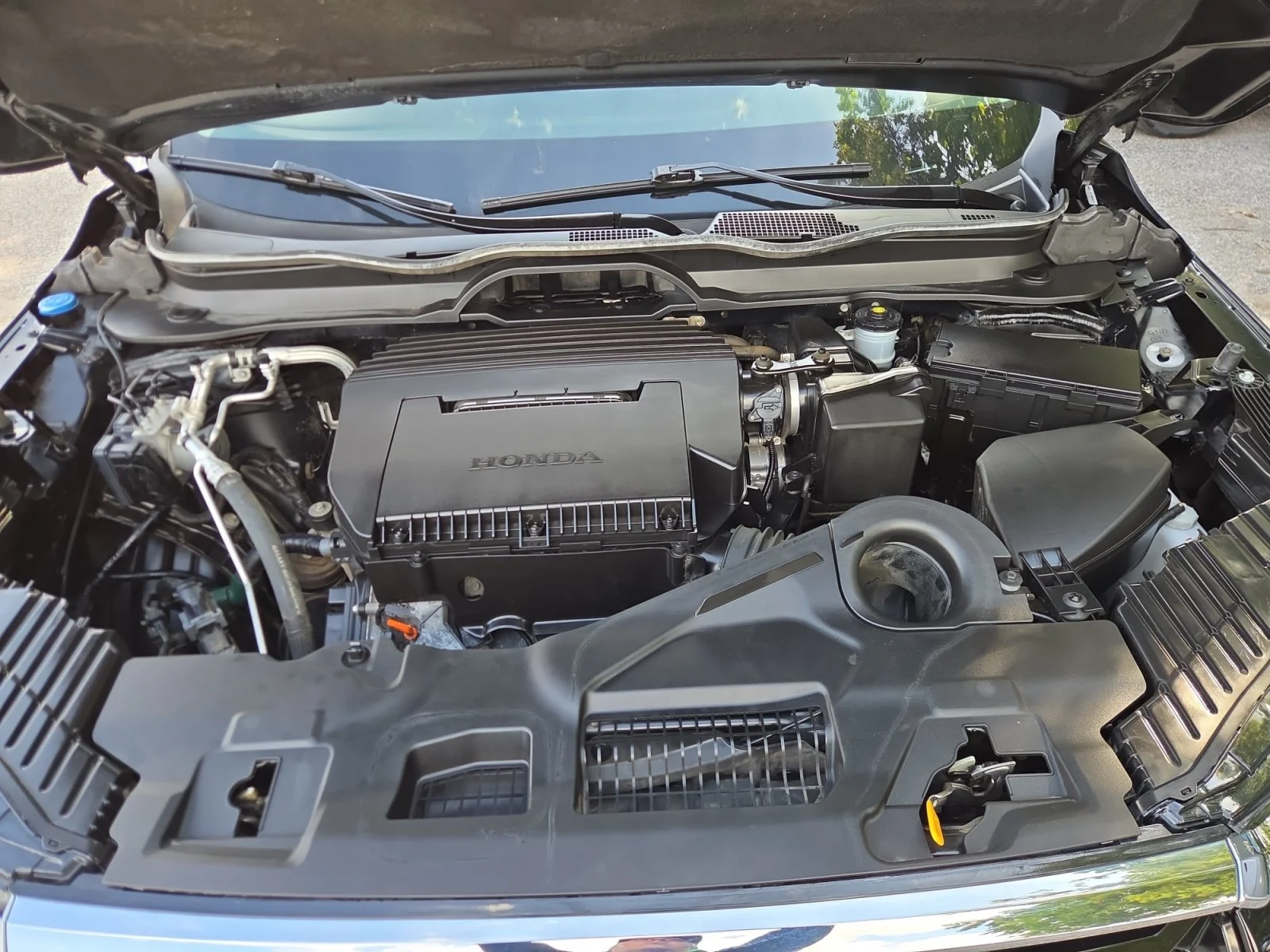 Certified Used 2023  Honda Elite image 18