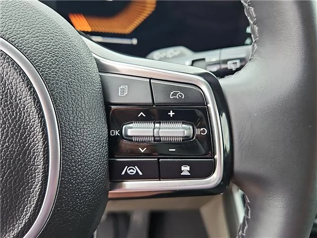 Used 2025 Panthera Metal KIA LXS Passenger image 18