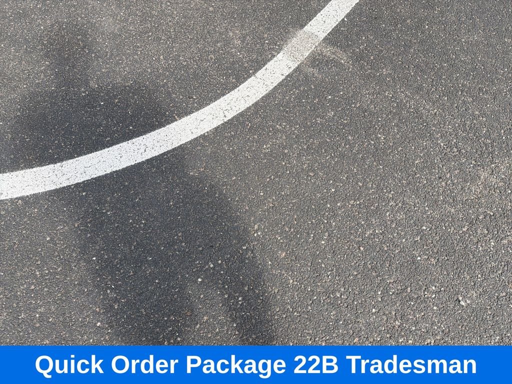 Used 2019 Brown Ram Tradesman image 4