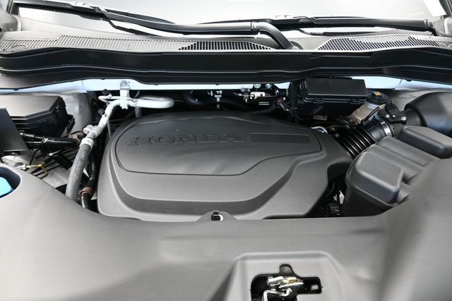 New 2026 Platinum White Pearl Honda Black Edition image 23