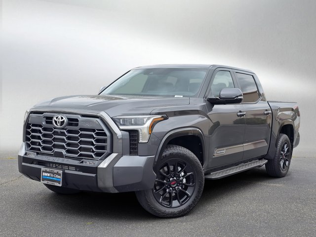 2025 Toyota Tundra 4WD Platinum