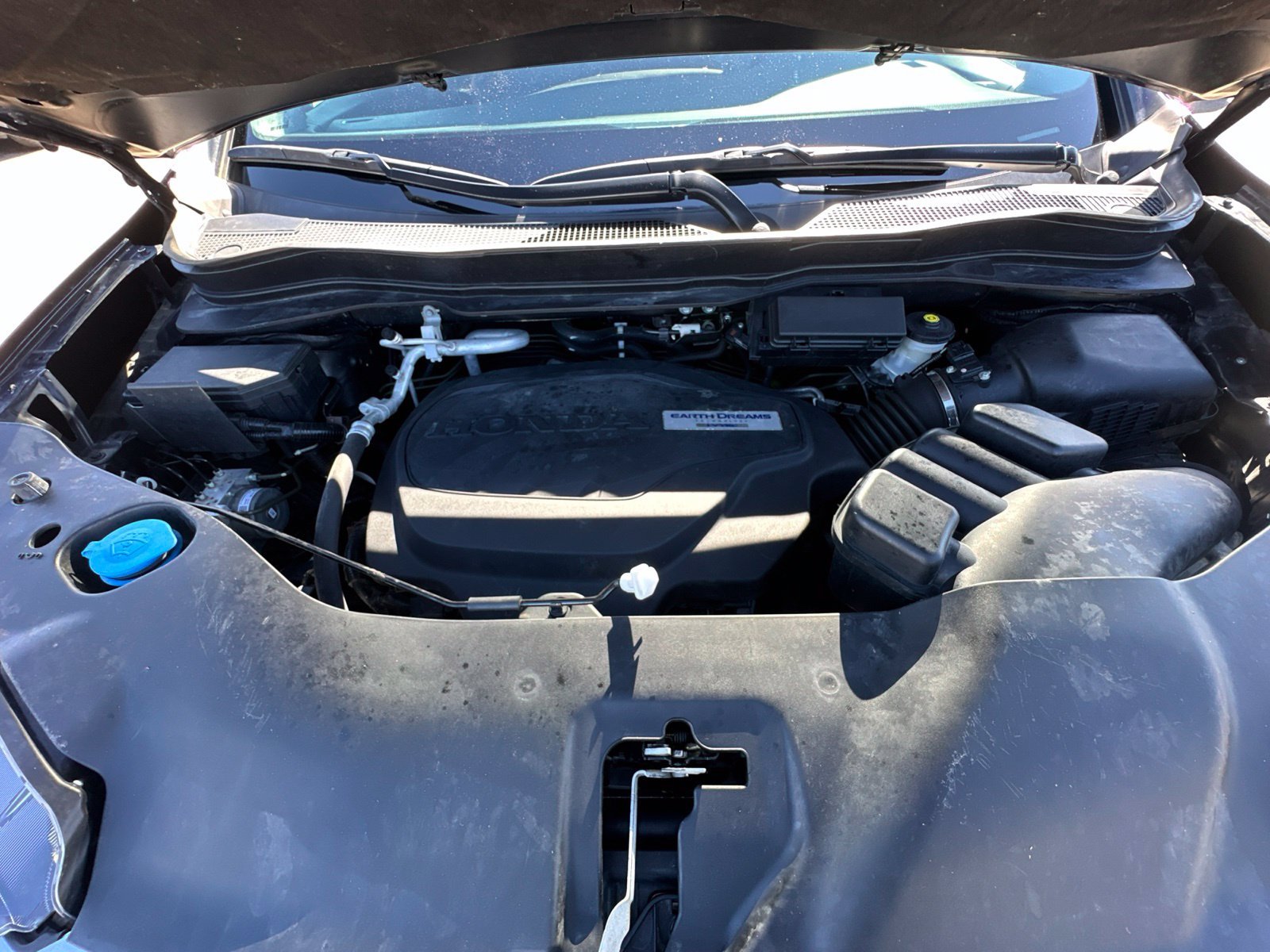 Used 2020 Brown Honda RTL-E image 40