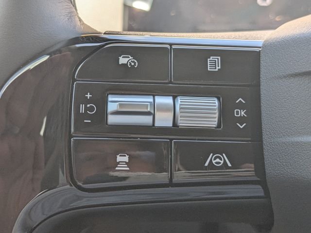 New 2026 Panthera Metal Kia S image 25