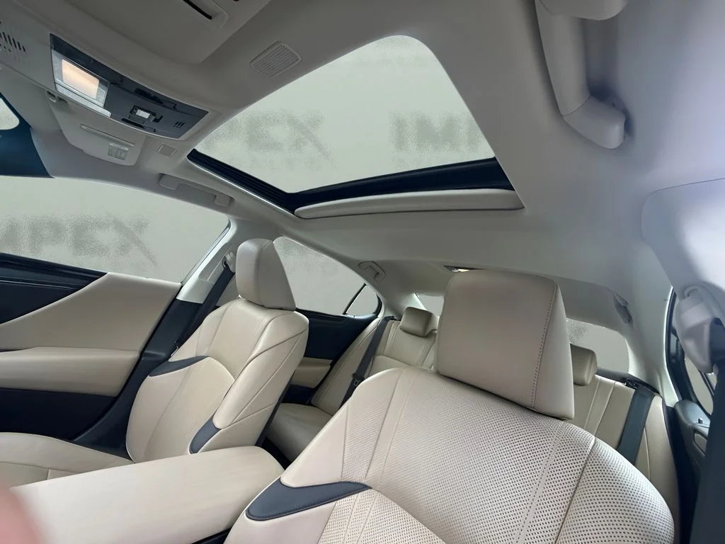 Used 2019 Black Lexus 300h Luxury image 6