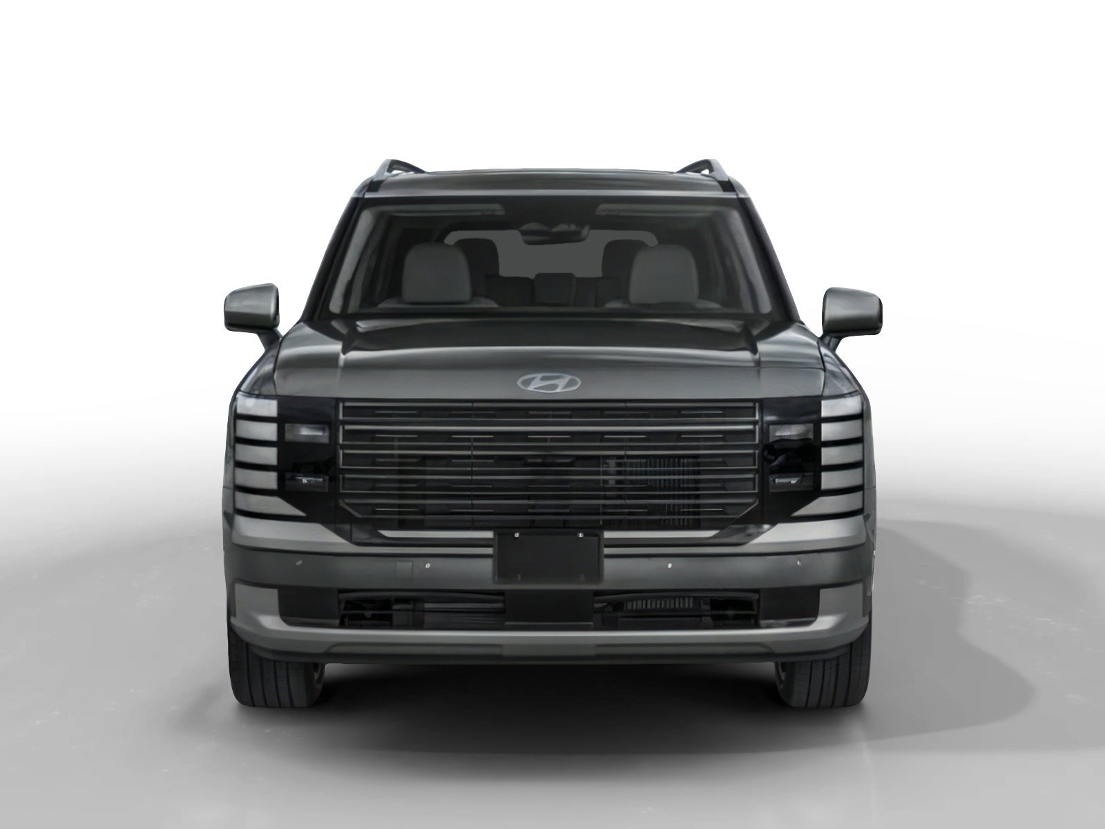 New 2026 Typhoon Silver Metallic Hyundai Calligraphy image 4