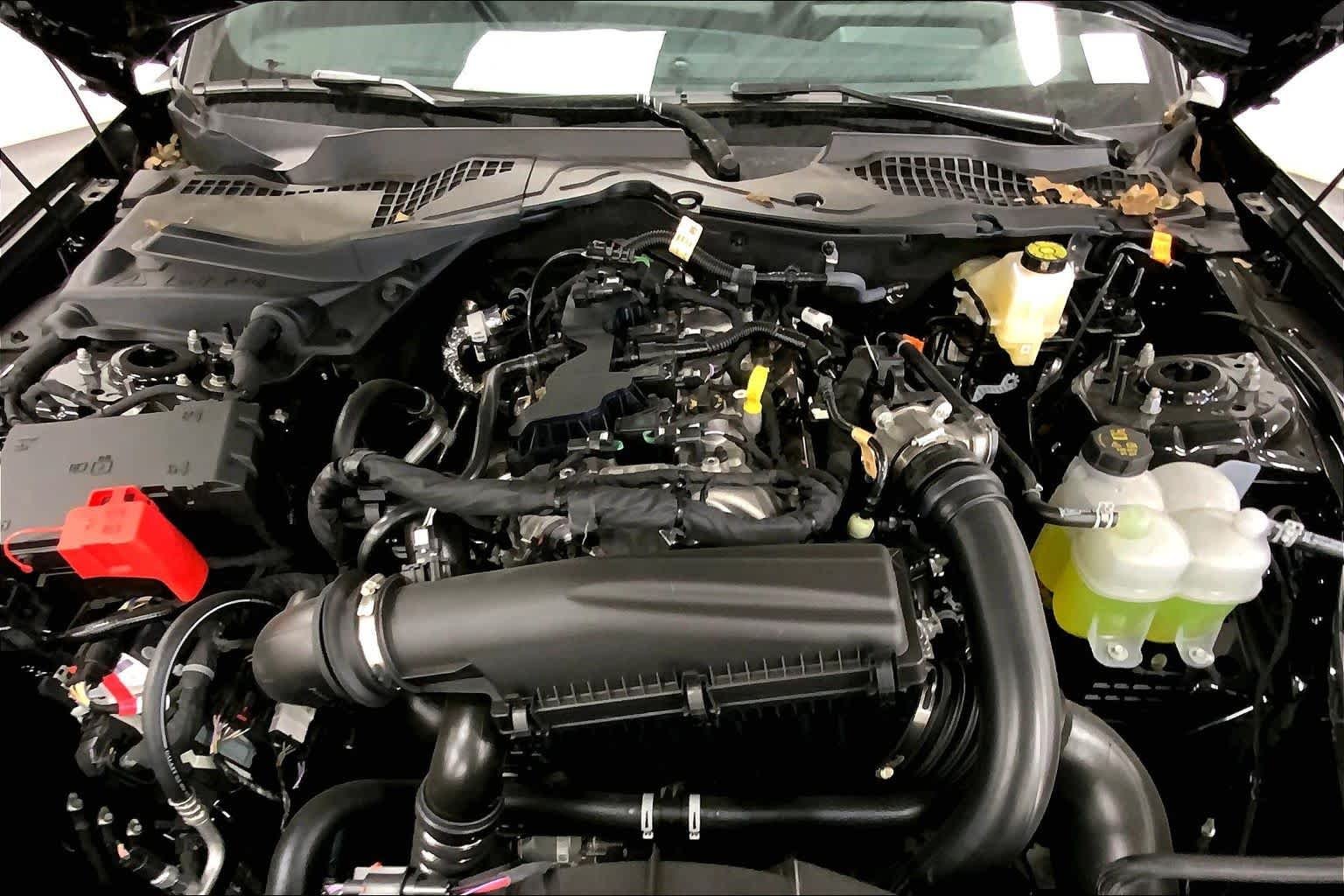 New 2026 Shadow Black Ford EcoBoost® Fastback image 15