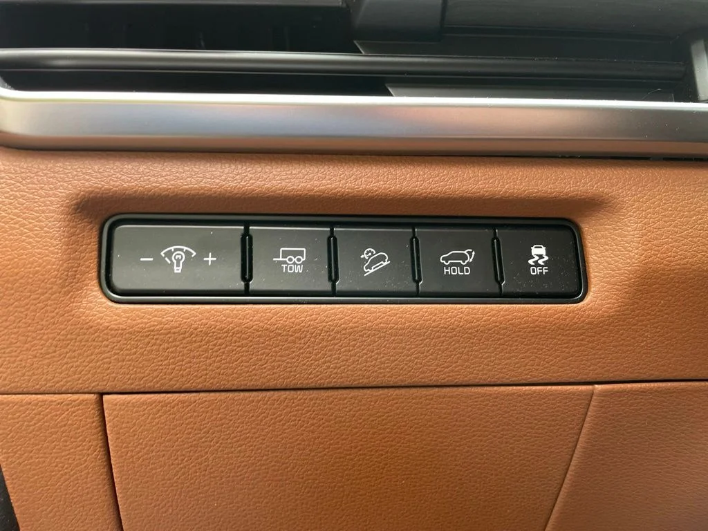 Certified Used 2025 Panthera Metal Kia EX X-Line image 9