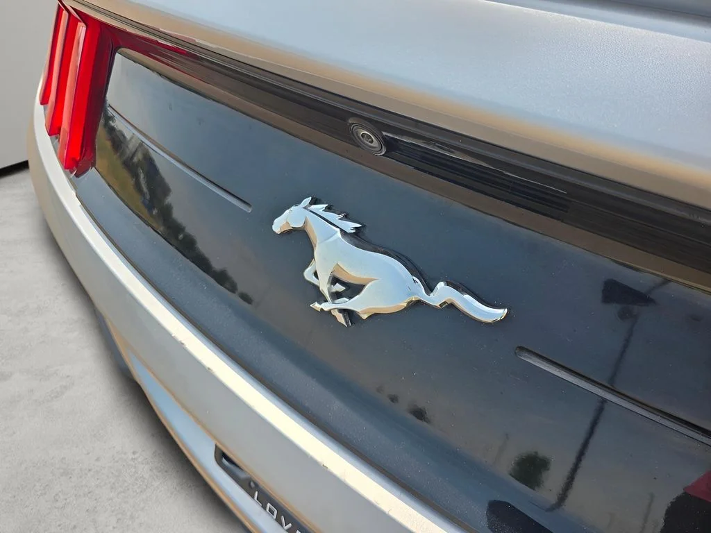 Used 2023 Iconic Silver Metallic Ford EcoBoost Premium image 30